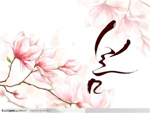 手绘水彩花朵花纹-粉色花玉兰花