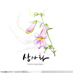 手绘水彩花朵花纹-粉色花兰花