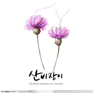 手绘水彩花朵花纹-紫色野花