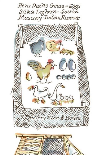 手绘插画风格-美丽生活之手绘母鸡鸭子