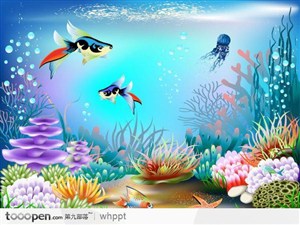 绚丽的海底世界