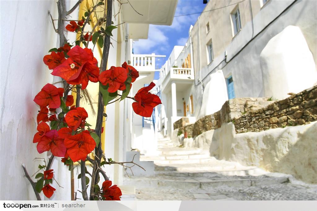 地中海风情--地中海街道建筑和红色植物花朵