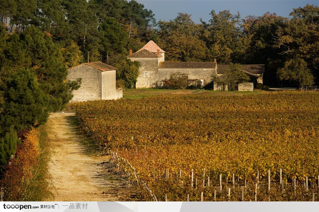 法国葡萄园建筑摄影