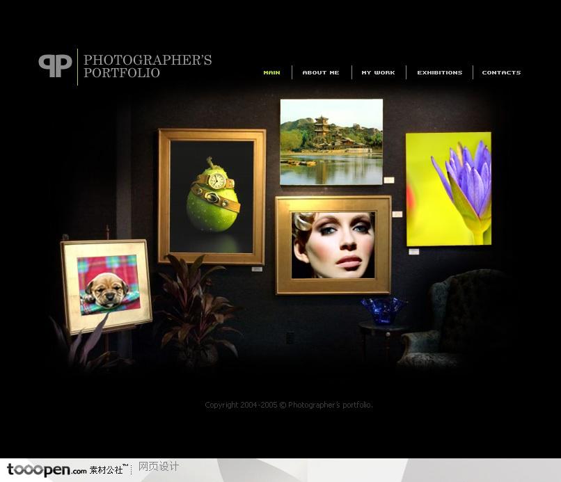 欧美酷站-FLASH艺术类照片网站整站模版
