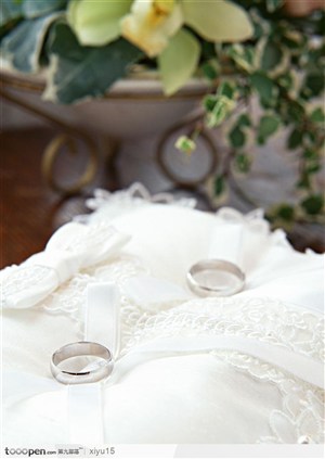 婚礼物语-婚纱上的戒指