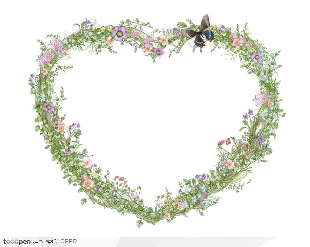 蝴蝶兰藤蔓围成的心形边框和装饰花卉蝴蝶