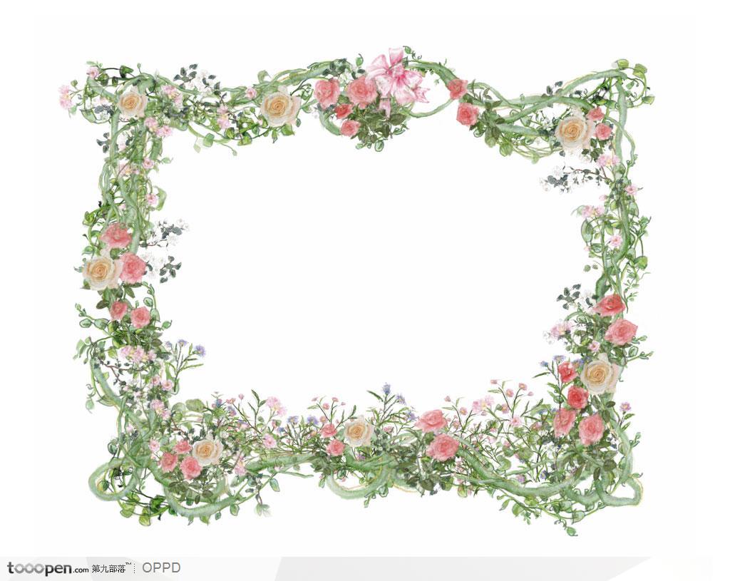手绘粉色蔷薇玫瑰绿色藤蔓枝条装饰方形边框