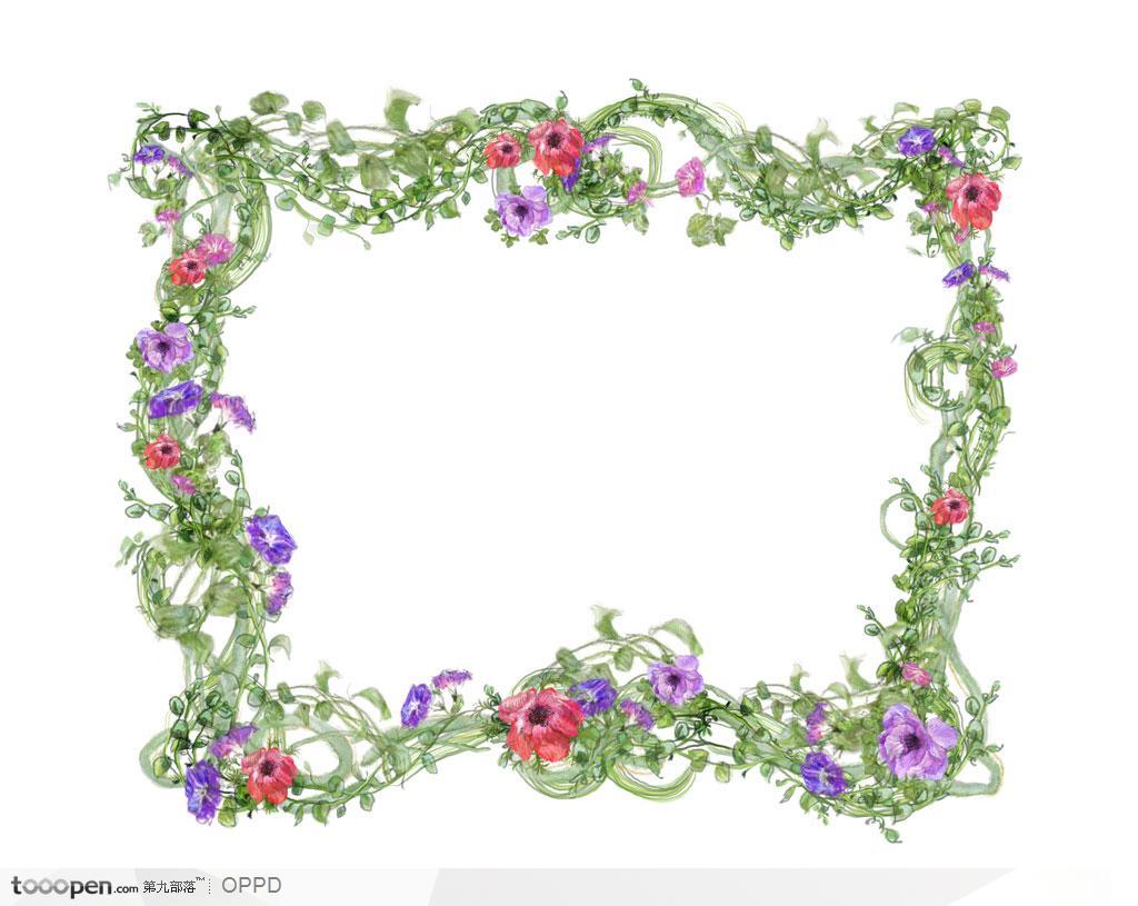 手绘紫色红色花卉绿色藤蔓装饰方形边框