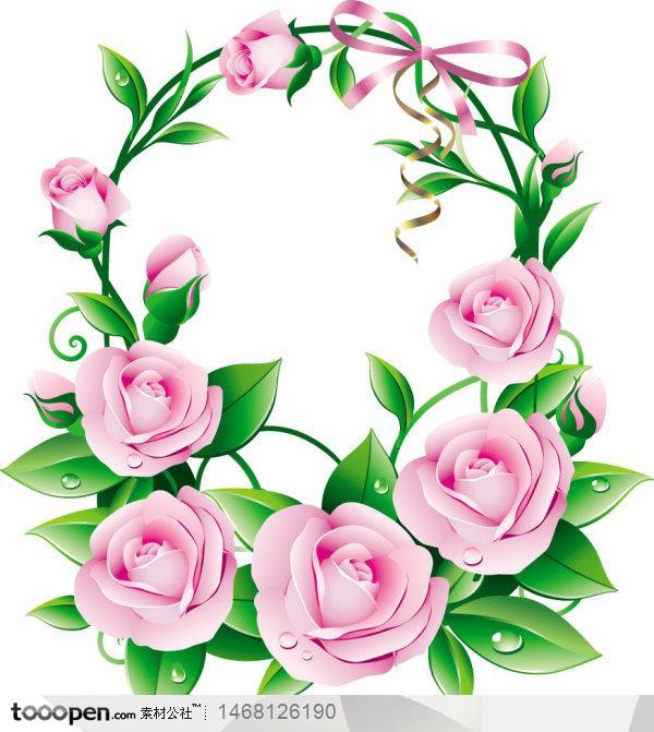 非常漂亮的粉色圆形玫瑰花朵矢量图