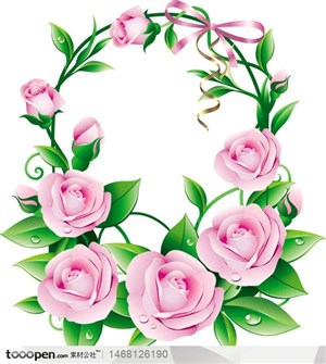 非常漂亮的粉色圆形玫瑰花朵矢量图