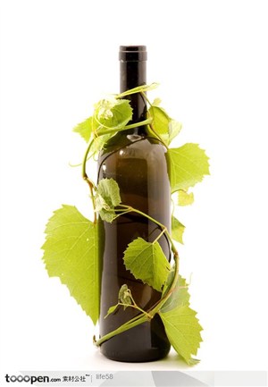 红酒葡萄酒瓶上树藤花纹环绕高清图片