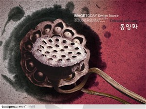 韩国莲花古典水墨中国风宣传展示素材