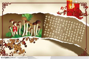 茶树菇宣传海报-中式花纹边框和梅花
