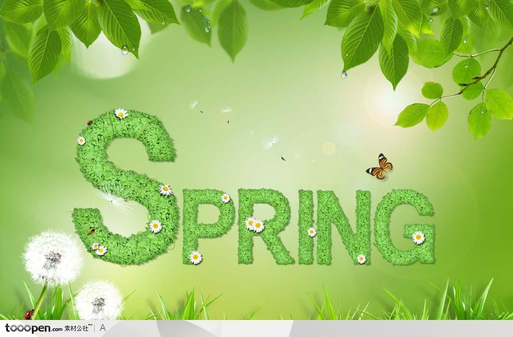 绿色植物组成的SPRING春天背景底纹