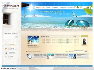 眼镜网页蓝色海滩玩水嬉戏海鸥飞过阳光照射业网站设计模板