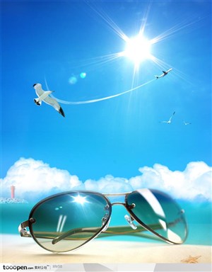 眼镜网页蓝色海滩玩水嬉戏海鸥飞过阳光照射业网站设计模板