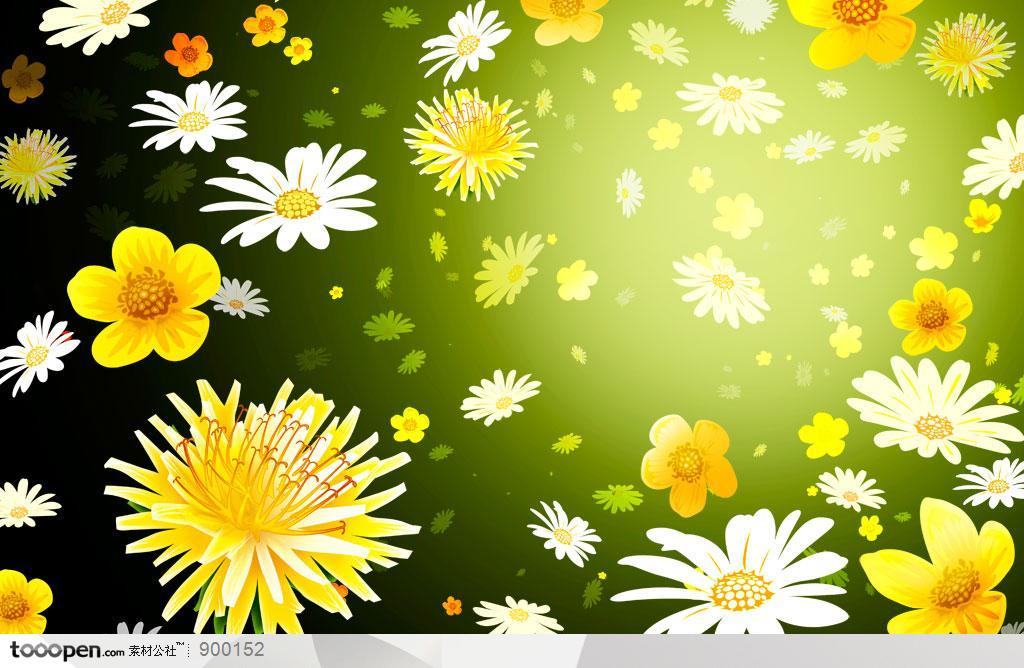 背景底纹-自然植物菊花背景