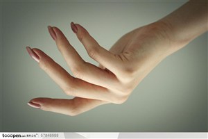 手势-修长的手