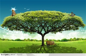 自然元素-草坪上的大树