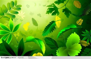 植物素材-高清绿色树叶