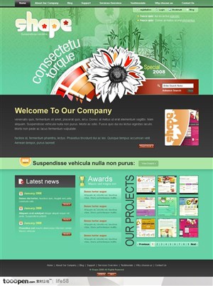 网页库-绿色花纹竹叶底纹国外创意英文网站设计模板
