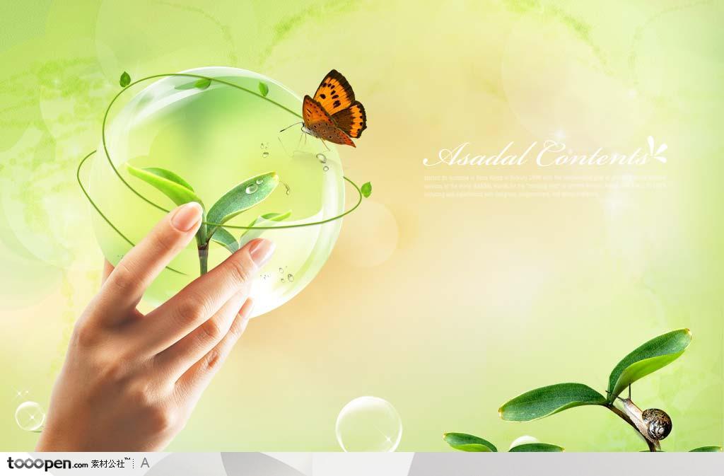 用手拿着的透明水晶泡泡包裹的嫩芽和清新绿色背景