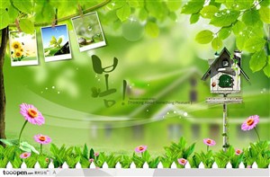 绿色自然风景背景和悬挂的相片小鸟信箱