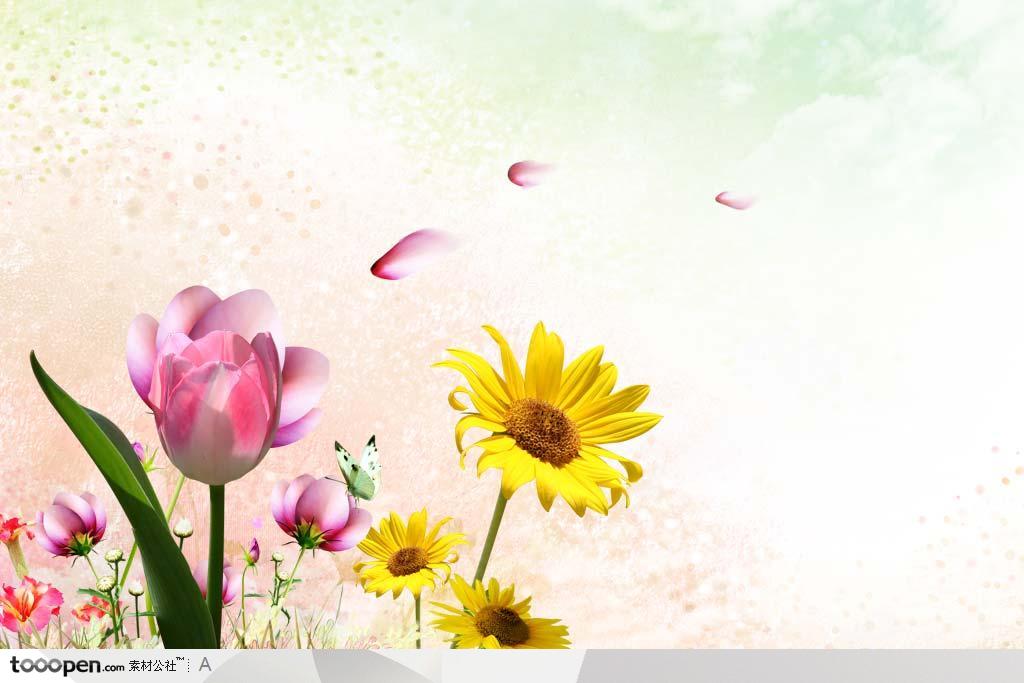 粉色背景底纹和鲜艳的花朵背景