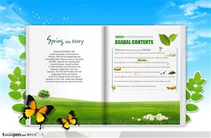 打开的书籍页面上绿色草原背景和蝴蝶