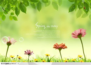 绿色草地上盛开的花卉春天故事主题背景底纹