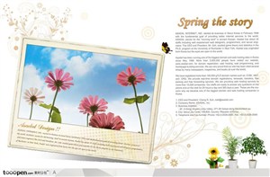 春天故事主题花卉相片背景底纹