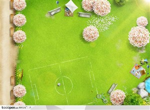 绿色公园草地上的足球场和粉色开花的树木