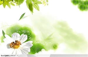 白色花卉背景和春天主题背景底纹