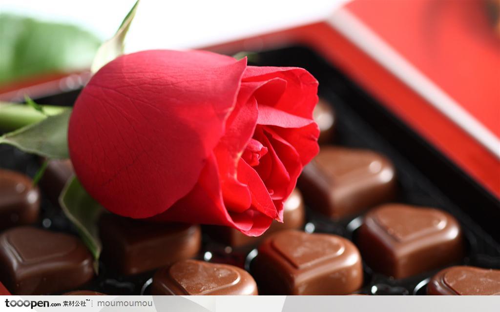 巧克力桌面壁纸-巧克力上玫瑰花