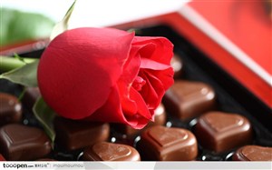 巧克力桌面壁纸-巧克力上玫瑰花
