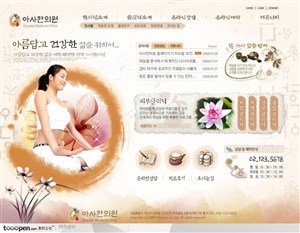 日韩网站精粹-褐色系水墨风情女性养生网站整站