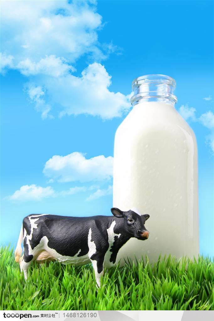蓝天白云下草地上的奶牛和玻璃瓶里纯牛奶
