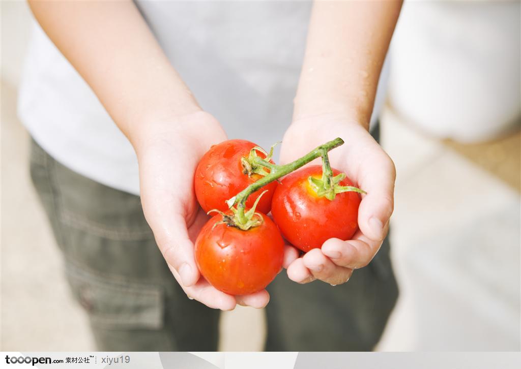 快乐教育-捧着西红柿的学生