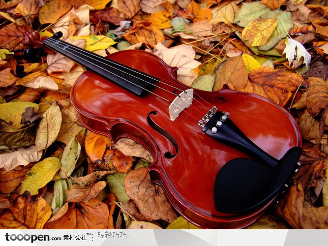 落叶中的小提琴特写