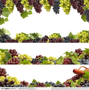 各种水果组成的水果边框 相框