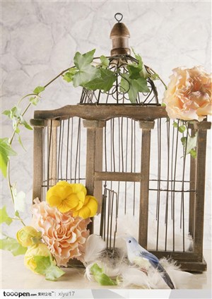 结婚物语-鸟笼上的玫瑰花