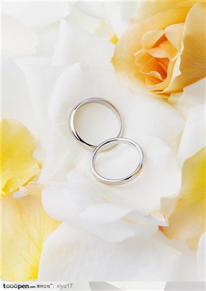 结婚物语-一对漂亮的戒指
