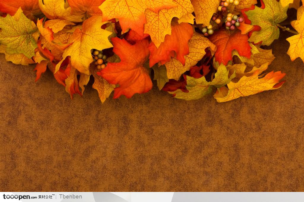 秋季枫叶边框素材背景底纹