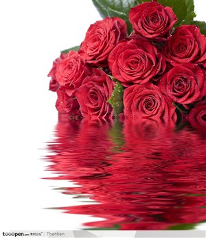 情人节元素水中冒出的一束大红色玫瑰
