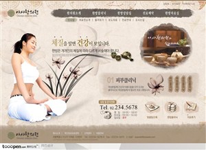 日韩网站精粹-褐色系东方茶道养生网站整站
