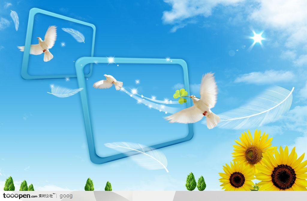 飞禽动物素材-飞翔的白鸽星光向日葵边框特写