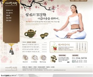 日韩网站精粹-褐色系东方水墨梅花女性养生网站整站