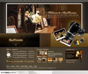 日韩网站精粹-褐色系欧式花纹旅游度假网站首页