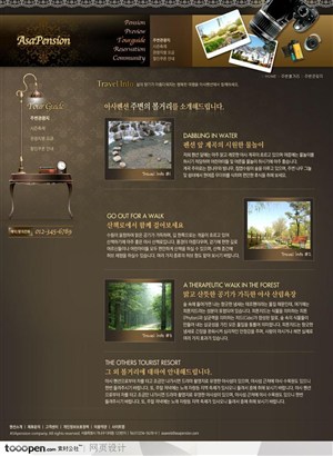 日韩网站精粹-褐色系欧式花纹旅游度假网站景点页面