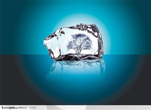 透明冰块内的树